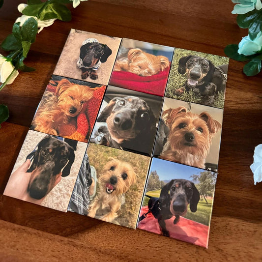 Personalised Pet Dog or Cat Photo Metal Fridge Magnet | Birthday or Christmas Gift for Dog Dad or Cat Mum | Pet Photo Present for Owner